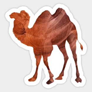 Camel in Sandstone Sticker